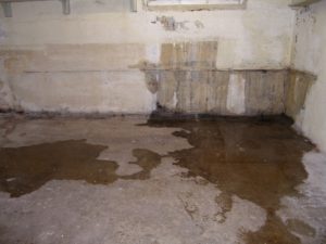 water in your basement